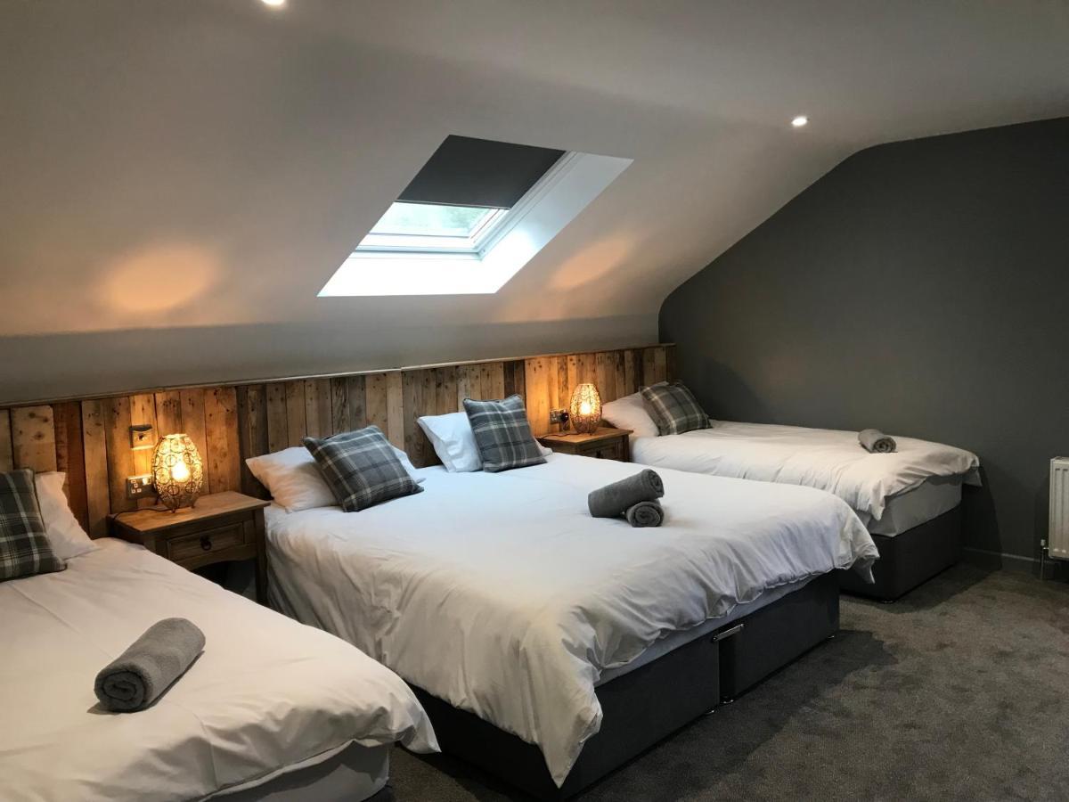 Rostrevor Mountain Lodge - Glamping Pods - Revive Sauna & Hot Tubs Eksteriør bilde