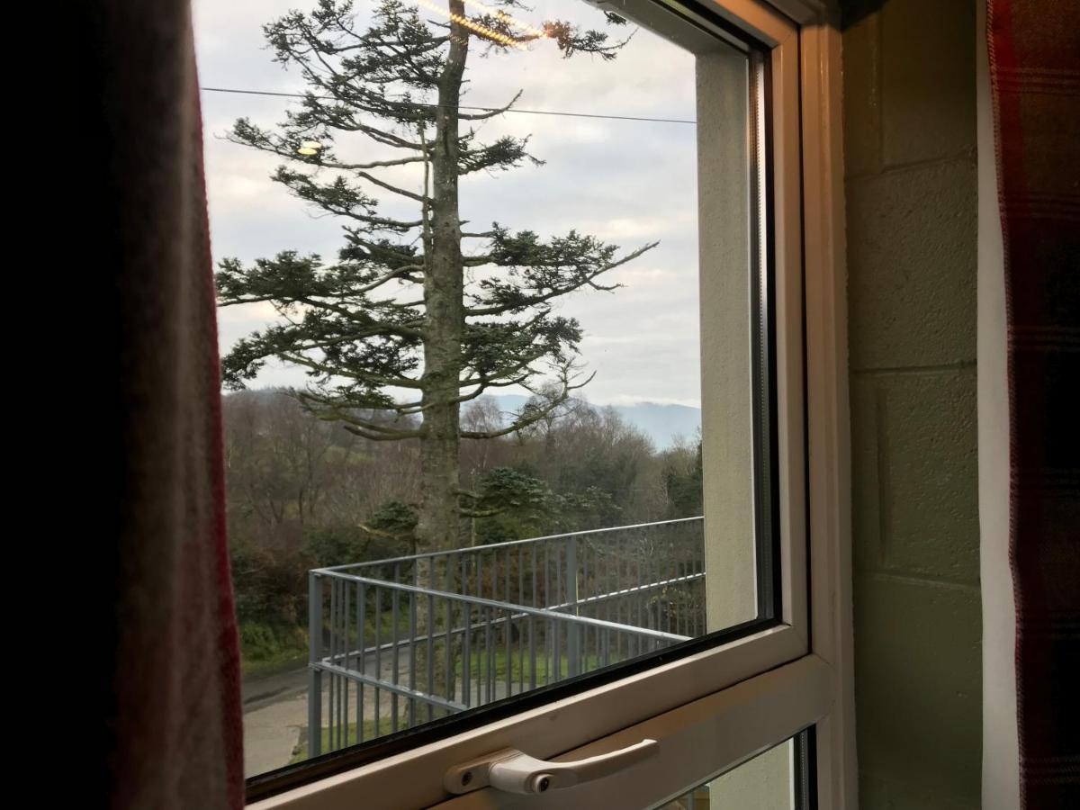 Rostrevor Mountain Lodge - Glamping Pods - Revive Sauna & Hot Tubs Eksteriør bilde