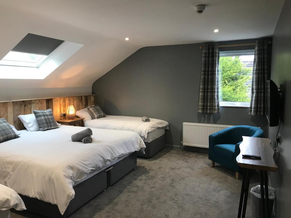 Rostrevor Mountain Lodge - Glamping Pods - Revive Sauna & Hot Tubs Eksteriør bilde