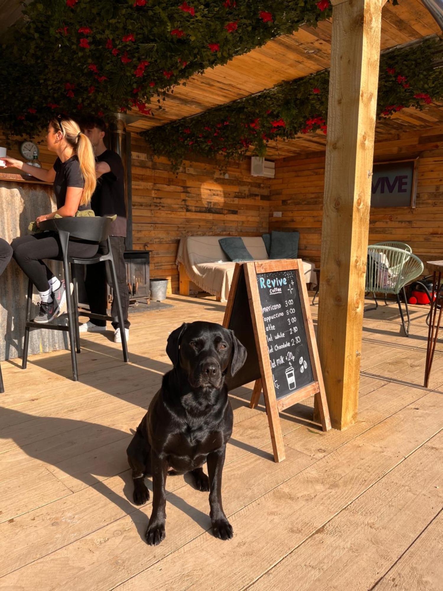 Rostrevor Mountain Lodge - Glamping Pods - Revive Sauna & Hot Tubs Eksteriør bilde